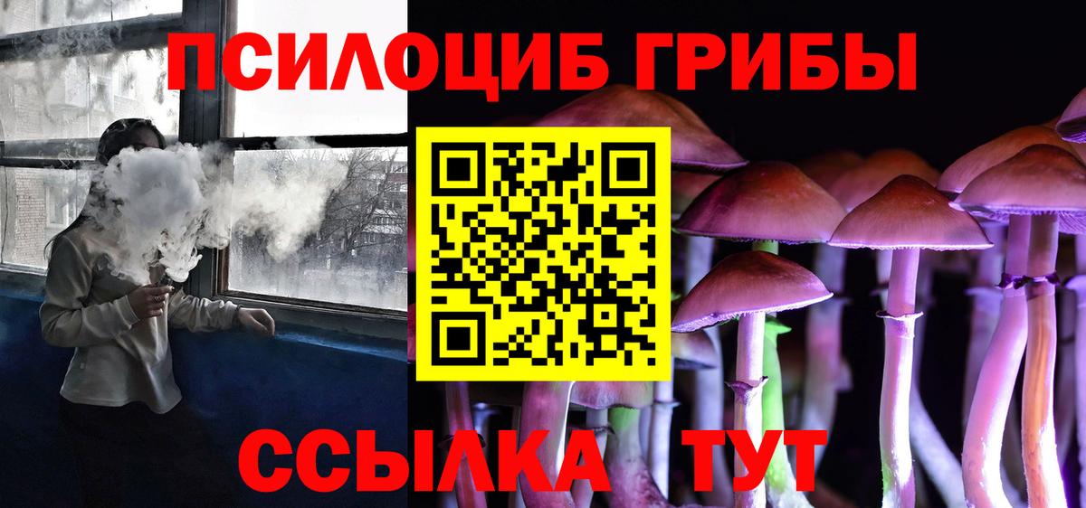 Калуга  Псилоцибиновые грибы Cubensis  Вход с VPN 